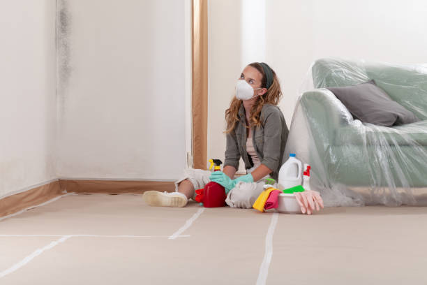 Reliable Mold Cleanup contractor in Woodbury Heights, NJ by WQB Mold Removal